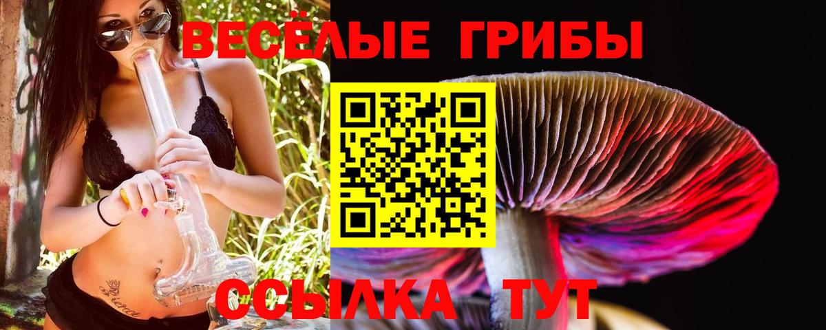 Галлюциногенные грибы Magic Shrooms  Вход с VPN  Саки 